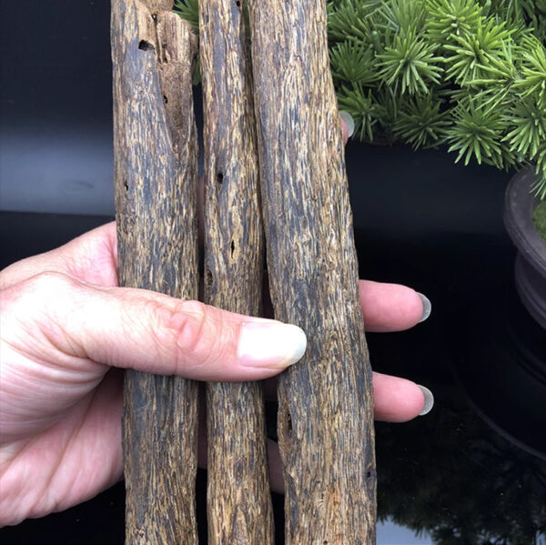 Agarwood scrape natural strange nan worm bite knot incense raw materials - Image 3